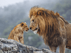 Confidence Starts with Self-Esteem (Part 2)